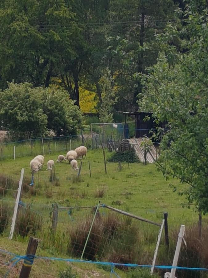 Gite A La Source Breitenbach Exterior foto