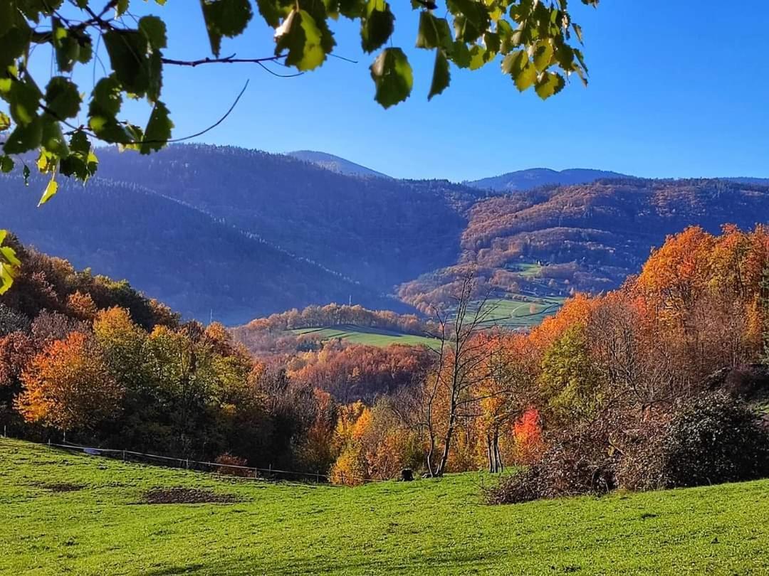 Gite A La Source Breitenbach Exterior foto