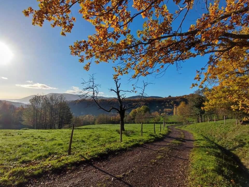 Gite A La Source Breitenbach Exterior foto