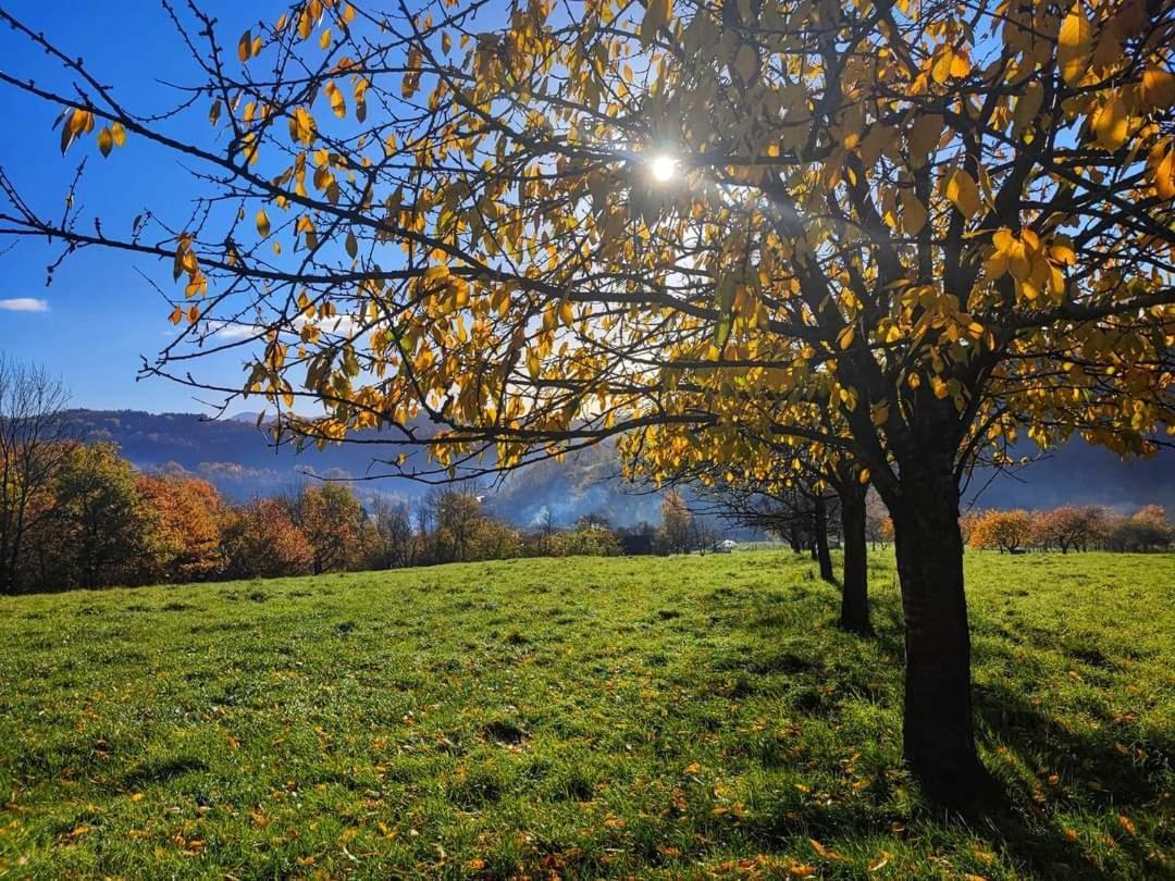 Gite A La Source Breitenbach Exterior foto