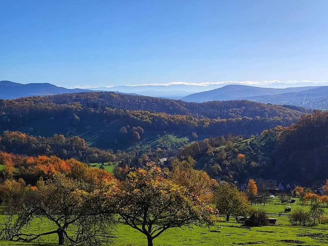 Gite A La Source Breitenbach Exterior foto